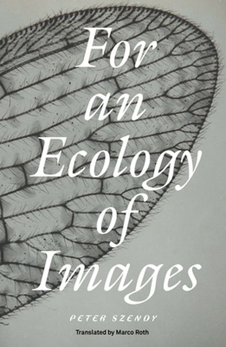 For an Ecology of Images by Peter Szendy