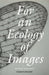 For an Ecology of Images by Peter Szendy