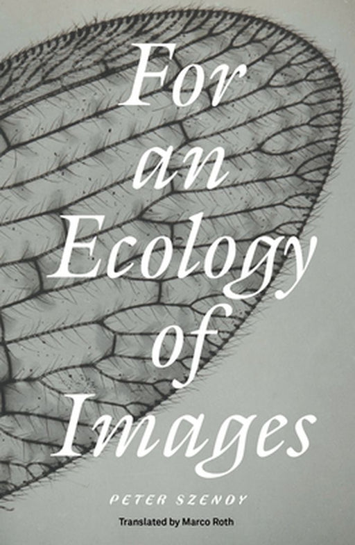 For an Ecology of Images by Peter Szendy