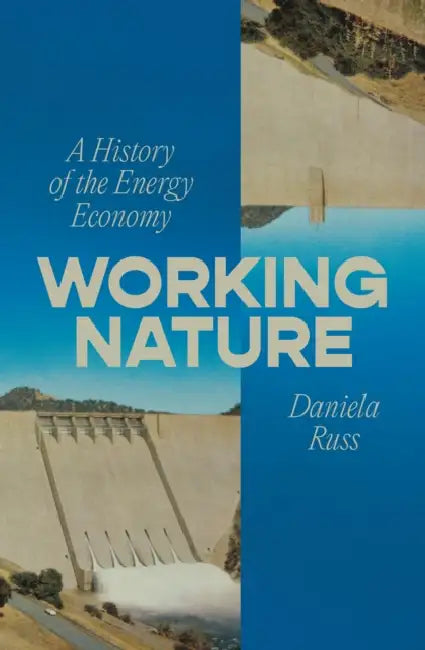 Working Nature: A History of the Energy Economy by Daniela Russ