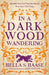 In a Dark Wood Wandering by Hella S. Haasse
