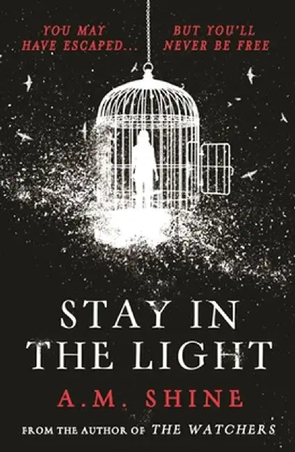 Stay in the Light by A.M. Shine