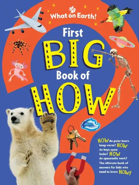 First Big Book of How by Sally Symes