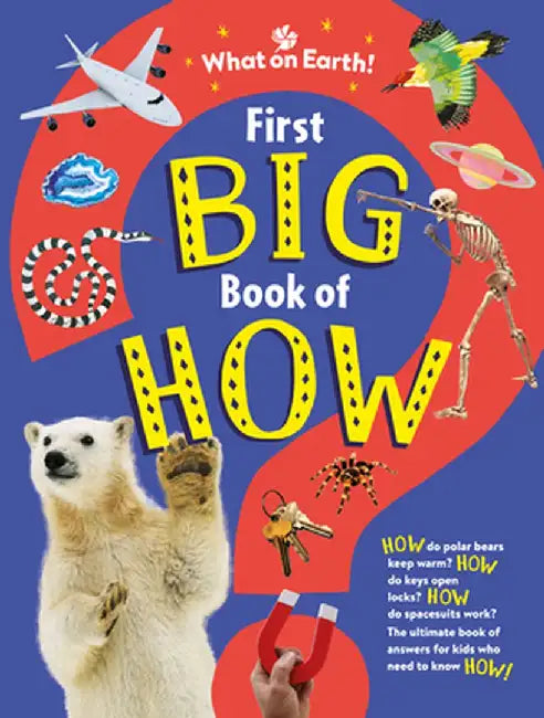 First Big Book of How Things Work: The Hidden Workings of Animals, Machines, the Body, Nature, Space, and More! by Sally Symes