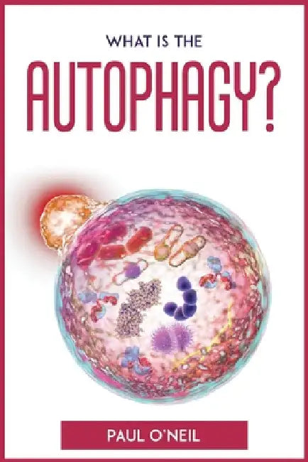 What Is The Autophagy?: An easy explanation and guidebook by Paul O'Neil