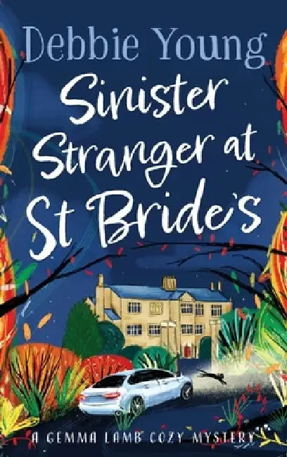 Sinister Stranger at St Brides by Debbie Young