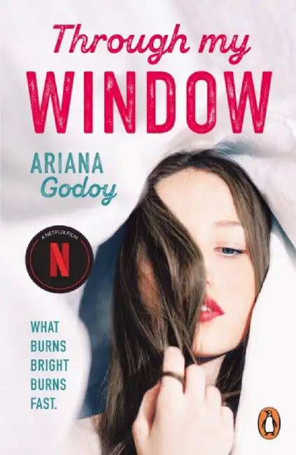 Through My Window by Ariana Godoy