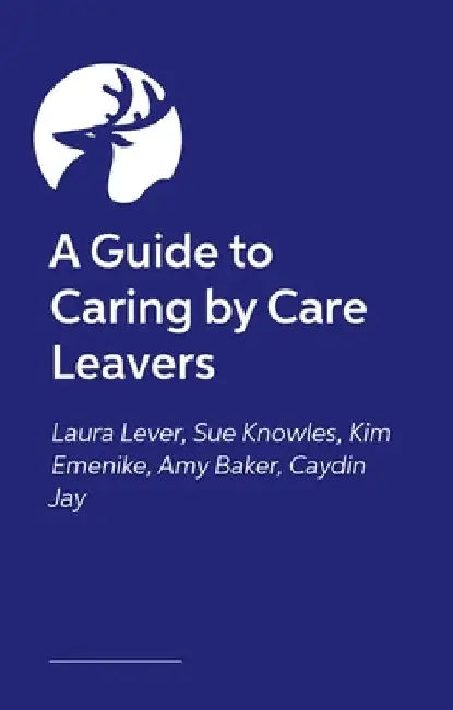 The Insider's Guide to Foster Care: What Care Leavers Need You to Know by Sue Knowles