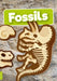 Fossils by Kirsty Holmes