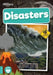 Disasters by Louise Nelson