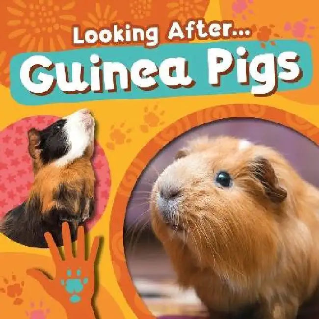 Guinea Pigs by Rebecca Phillips-Bartlett