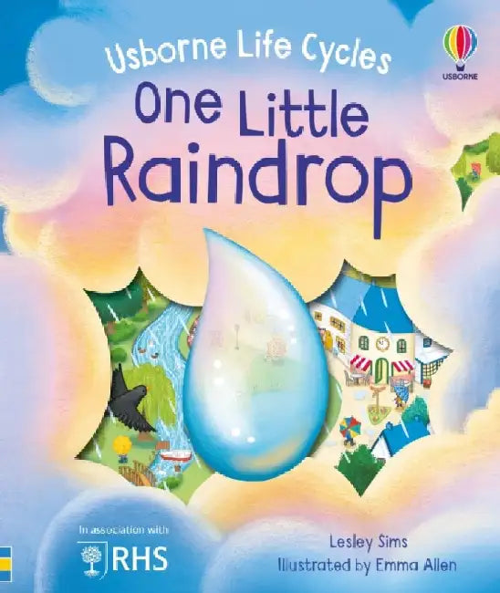 One Little Raindrop by Lesley Sims