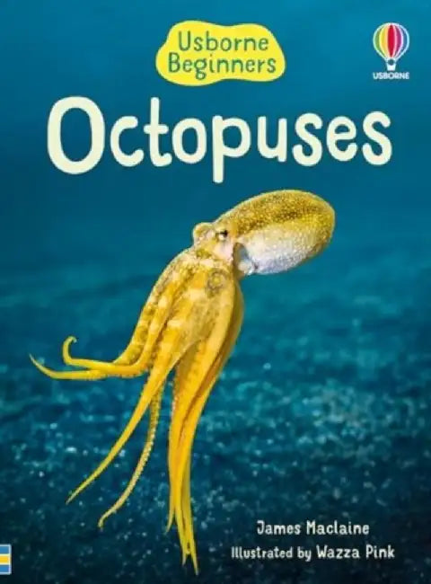 Beginners Octopuses by James Maclaine