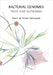 Bacterial Genomes: Trees and Networks by Narain Seshasayee, Aswin Sai