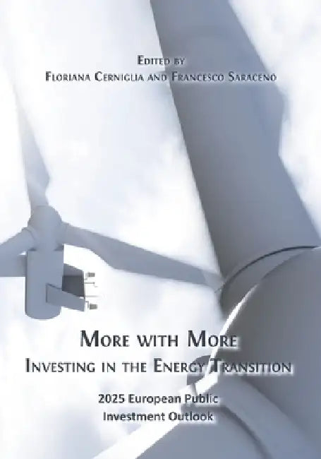 More with More: Investing in the Energy Transition by Floriana Cerniglia, Francesco Saraceno
