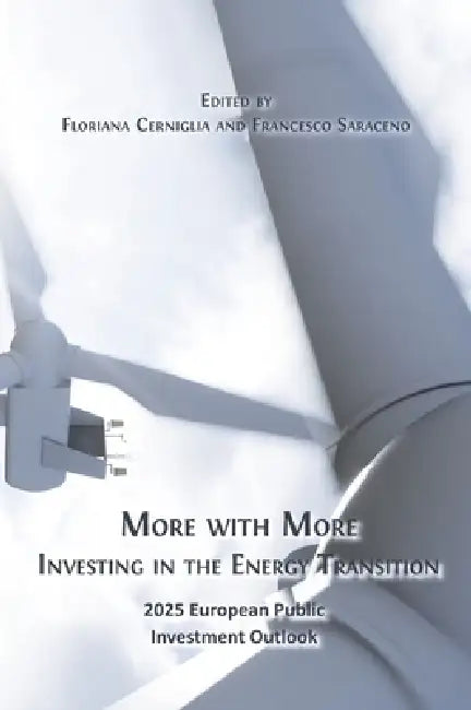 More with More: Investing in the Energy Transition by Floriana Cerniglia, Francesco Saraceno