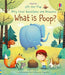 Very First Questions and Answers What Is Poop? by Katie Daynes