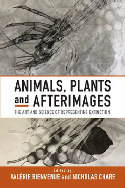 Animals, Plants and Afterimages: The Art and Science of Representing Extinction by Valérie Bienvenue