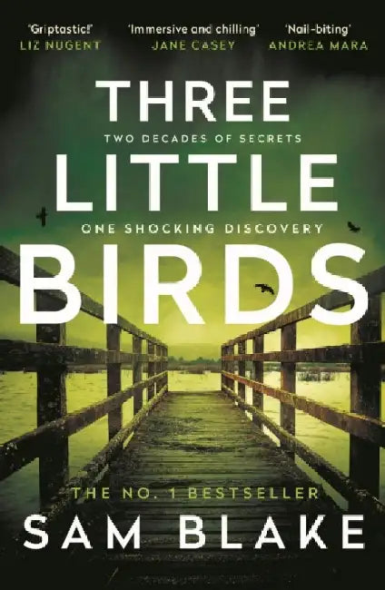 Three Little Birds by Sam Blake