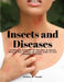 Insects and Diseases - A Popular Account of the Way in Which Insects may Spread or Cause some of our Common Diseases by Rennie W Doane