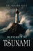 Before the Tsunami: A common-sense guide to avoid damages before, during, and after divorce by Roger Avila