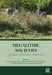Megalithic Societies: Old Questions, New Narratives by Gail M. Higginbottom, Jadranka Verdonkschot, Chris Scarre