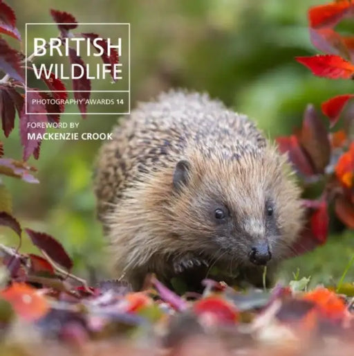 British Wildlife Photography Awards 14 by Will Nicholls
