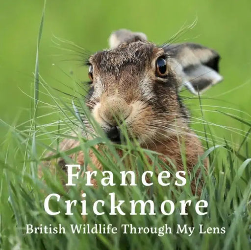 Frances Crickmore - British Wildlife Through My Lens by Frances Crickmore