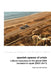 Spanish Spaces of Crisis: Cultural Responses to the Global 2008 Financial Crisis in Spain (2007-2017) by Maite Usoz de la Fuente