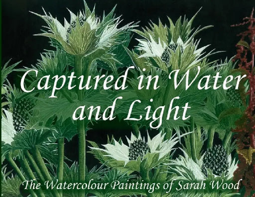 Captured in Water and Light by Sarah Wood