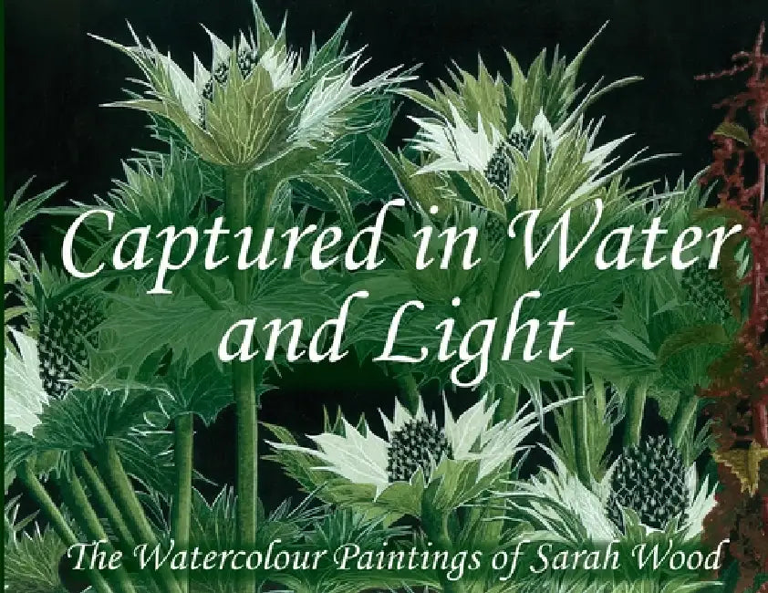 Captured in Water and Light by Sarah Wood