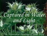 Captured in Water and Light by Sarah Wood