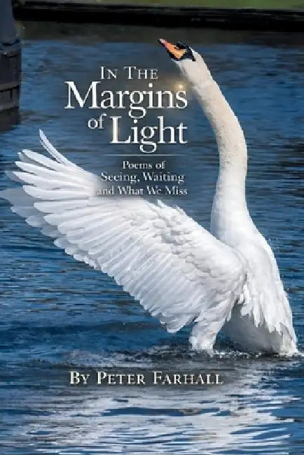 In the Margins of Light: Poems of Seeing, Waiting, and What We Miss by Pete Farhall