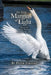 In the Margins of Light: Poems of Seeing, Waiting, and What We Miss by Pete Farhall