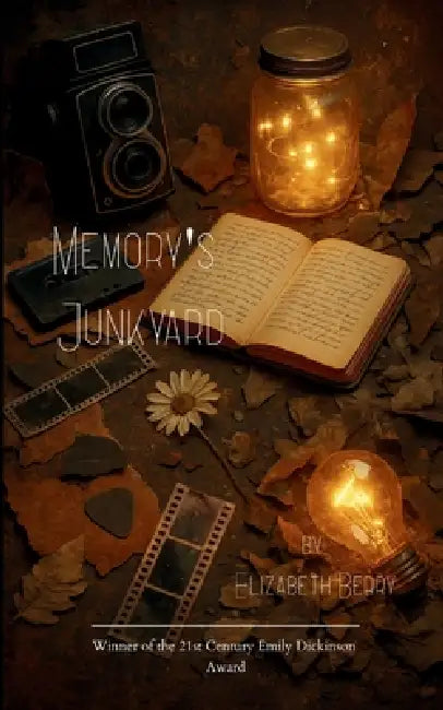 Memory's Junkyard The Light We Kept by Elizabeth Berry