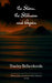 The Storm. The Stillness. And Again by Shailey Bellamkonda