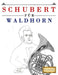 Schubert für Waldhorn: 10 Leichte Stücke für Waldhorn Anfänger Buch by E. C. Masterworks