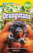 Orangutans: Rainforest Animals (Revive Readers, Level Pre-1) by Ashley Lee