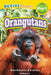 Orangutans: Rainforest Animals (Revive Readers, Level Pre-1) by Ashley Lee