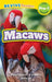 Macaws: Rainforest Animals (Revive Readers, Level Pre-1) by Ashley Lee