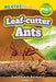 Leaf-Cutter Ants: Rainforest Animals (Revive Readers, Level Pre-1) by Ashley Lee
