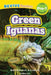 Green Iguanas: Rainforest Animals (Revive Readers, Level Pre-1) by Ashley Lee
