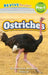 Ostriches: Grassland Animals (Revive Readers, Level Pre-1) by Ashley Lee