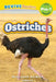 Ostriches: Grassland Animals (Revive Readers, Level Pre-1) by Ashley Lee