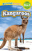 Kangaroos: Grassland Animals (Revive Readers, Level Pre-1) by Ashley Lee