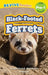 Black-Footed Ferrets: Grassland Animals (Revive Readers, Level Pre-1) by Ashley Lee