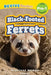 Black-Footed Ferrets: Grassland Animals (Revive Readers, Level Pre-1) by Ashley Lee