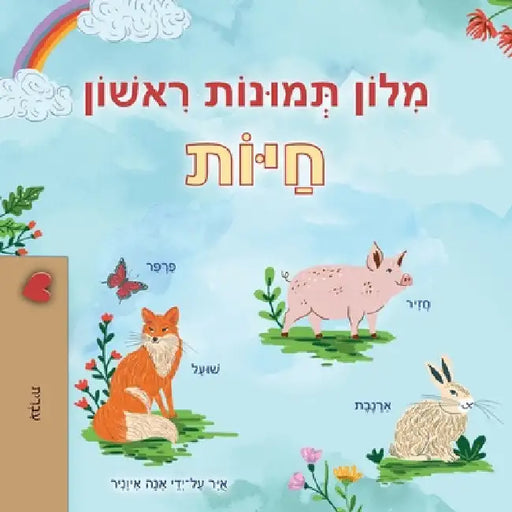 First Picture Dictionary - Animals (Hebrew Children's Book) by Books, Kidkiddos