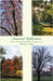 Seasonal Reflections: Christian Thoughts Inspired by the Changing Seasons by Amy, Rebecca