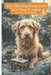 The Missing Ring Case and Dog Cooper by Aqeel Ahmed